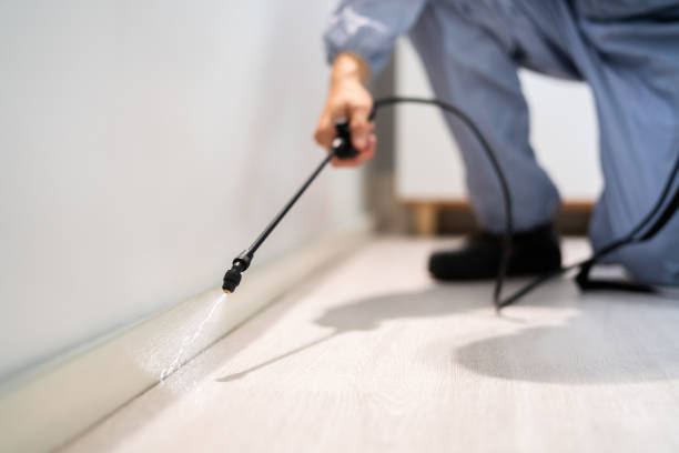 Licensed Mosquito Control service in Erie, KS - Show Me Pest Control