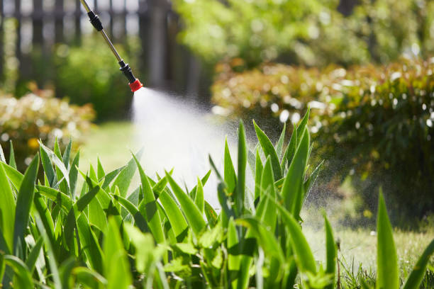 24/7 Emergency Mosquito Control experts in Erie, KS